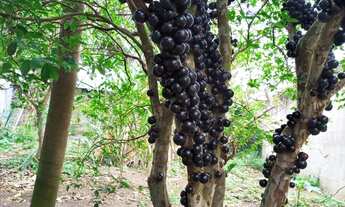 Imagem 6: Casa de praia , mirante da praia , praia grande , nova Almeida, fundão ES