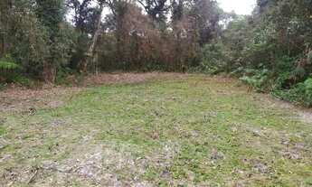 Imagem 2: Terreno bela artes