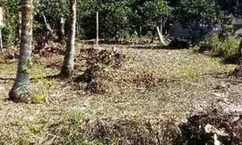 Imagem 6: Lote em Iguape $10,000 a vista