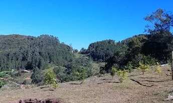 Imagem 2: Sitio Chácara 2558m2 Barro branco São Pedro de Alcântara