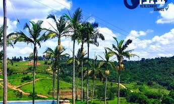 Imagem 7: 29t. invista agora neste terreno