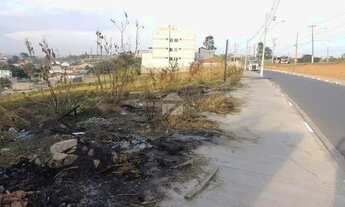Imagem 2: Terreno - Cidade Satélite Íris - Campinas