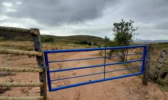 Imagem 3: Fazenda de 20 hectares em Lagamar-MG