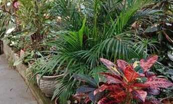 Imagem 3: Casa para comprar Nações Unidas Sabará