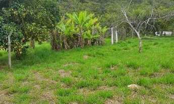 Imagem 3: Fazenda/Sítio/Chácara para venda tem 8400 metros quadrados com 2 quartos