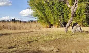 Imagem 5: Smpw park way quadra 11 20.000 mts