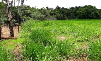 Imagem 5: Sítio próximo Uberlândia