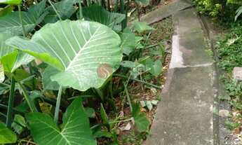 Imagem 6: Terreno na Vila Formosa