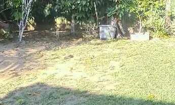 Imagem 5: Venda sítio terra alta