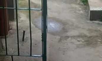 Imagem 3: Casa 1qt + closet