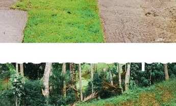 Imagem 10: Casa Ipiabas Casa com 4 dormitórios