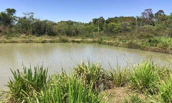 Imagem 6: CHÁCARA EM GOIANIRA