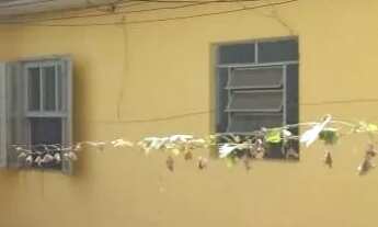 Imagem 5: Terreno à venda, Osvaldo Cruz - São Caetano do Sul/SP