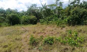 Imagem 5: Vende-se terreno com igarapé