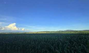 Imagem: Fazenda a Venda - Itaberaí - GO