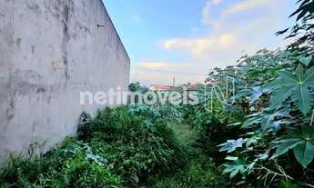 Imagem 4: Terreno pra venda com 330 m²; murado na Avenida Froés da Mota em Feira de Santana