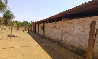 Imagem: Imóvel para venda possui 45000 metros quadrados