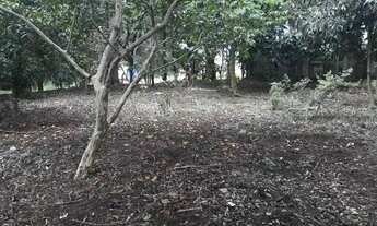 Imagem 10: Lote em condomínio em Rua Unidos de Vila Isabel - Jardim San Ressore (Caucaia do Alto) - C