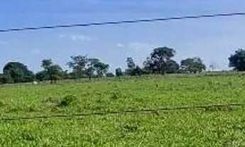 Imagem 5: VENDE- Sítio chácara 4,84 ha 10 km de Uberaba sentido BR-427 saída Água Comprida