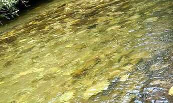 Imagem 6: Chácara chapada