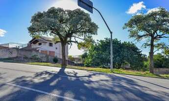 Imagem 4: Vendas Terreno Curitiba PR