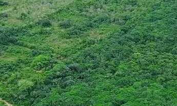 Imagem: Imóvel para venda possui 220000 metros