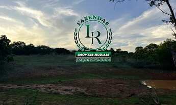 Imagem 4: Fazenda Próximo a Paraiso Tocantins