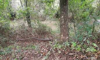 Imagem 4: Chacara 3700 metros quadrados em Conchal - SP