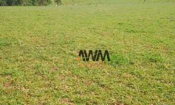 Imagem 3: Fazenda à venda, 1597200 m² por R$ 10.230.000,00 - Zona Rural - Americano do Brasil/GO