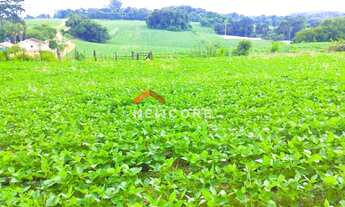 Imagem 4: Chácara em Avenida Independência - Campina das Pedras - area rural - Araucária/PR