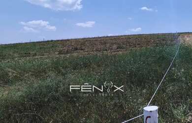 Imagem 5: O espaço que acompanha seus planos