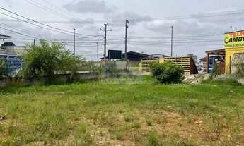 Imagem 6: Área à venda com 5546.09m² por R$ 4.400.000,00 no bairro Guaraituba - COLOMBO