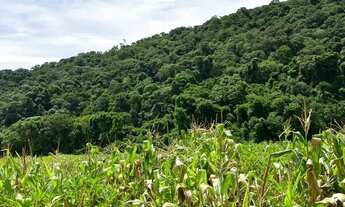 Imagem: Lotes para venda com 1000 metros quadrados