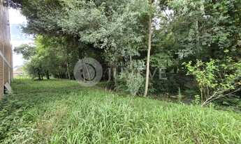 Imagem 6: IMOBILIARIA JUVEVE ALUGA BARRACÃO BAIRRO ALTO BACACHERI 1.120M² PRX LINHA VERDE MC DONALDS