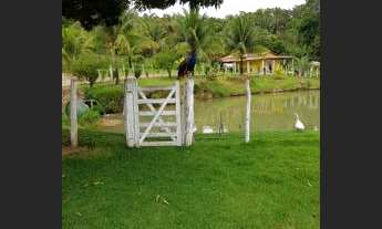 Imagem: Diária no Sítio Cocos - Barbalha/Ceará