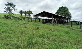 Imagem 5: 50 hectares 80% pasto no Pará pronta por R$800 mil