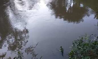 Imagem 3: 50 hectares 80% pasto no Pará pronta por R$800 mil