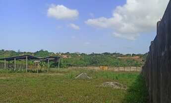 Imagem 3: Excelente Terreno para Venda em São Luís