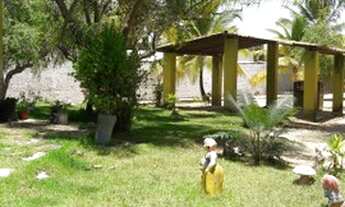 Imagem 4: Sítio São José