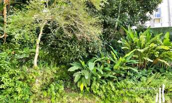 Imagem: Apartamento silencioso com vista verde