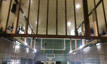 Imagem 3: Campo de grama sintética