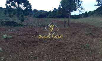 Imagem 7: TERRENO RURAL COM VISTA PRIVILEGIADA NO MUNÍCIPIO DE URUPEMA - SC