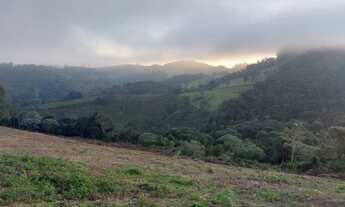 Imagem 5: Terreno de 20.000mts