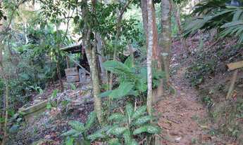 Imagem 4: Terreno, Ponta Grossa, Ubatuba - R$ 12 mi, Cod: 625