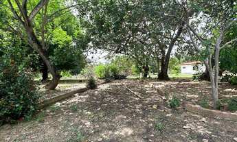 Imagem 5: Sitio a venda com boa estrutura a 18 km de Teresina, na margem da Pi-112 com 8 hectares!