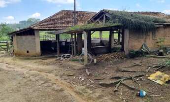 Imagem 6: Rural - 5,5 alqueires paulista