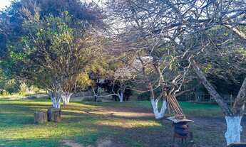 Imagem 7: Chácara Residencial para Venda no Roseira em Colombo, 4282.95m²