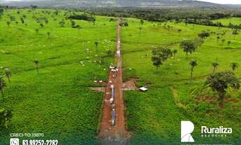 Imagem 2: Fazenda com solos de altíssima fertilidade natural situada na região de Abreulândia-TO