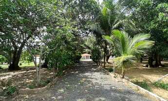 Imagem 3: Sitio a venda com boa estrutura a 18 km de Teresina, na margem da Pi-112 com 8 hectares!