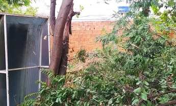 Imagem 6: Lote Major prates